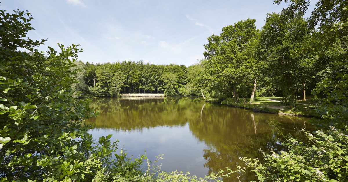 Base de loisirs de Bétineuc — Plages, Lacs & Lieux de loisirs nautiques — Saint-André-des-Eaux