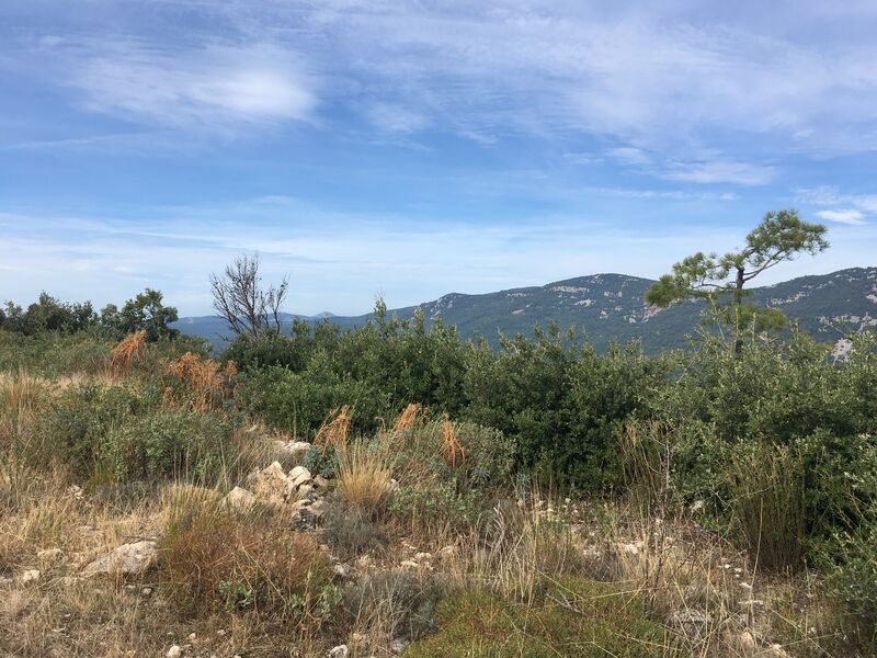 Deux sommets de la Pigne - randonnée panoramique à Seillans - Randonnée pédestre - Seillans