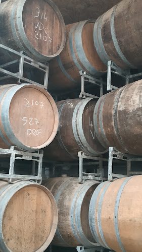 Cave du Dragon Rouge - visite et dégustation de chouchenn à Dinard — Rencontre & dégustation chez le producteur — Dinard