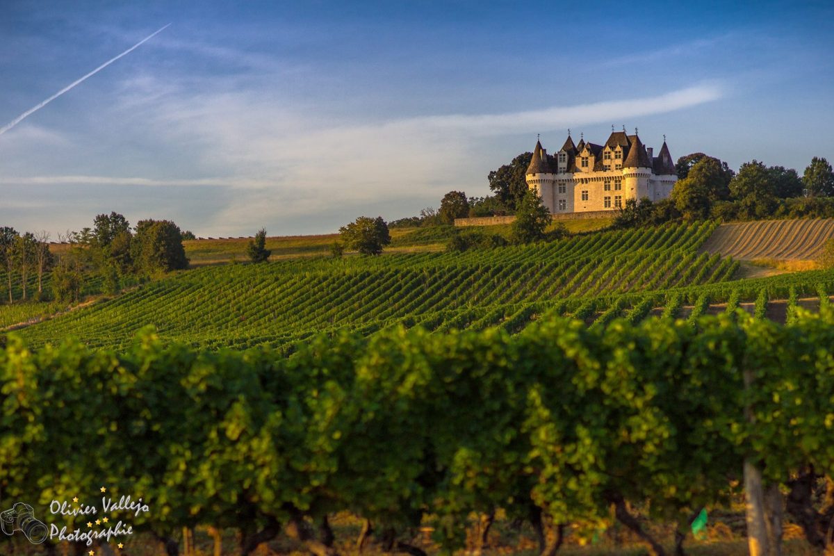 Château de Monbazillac — Découverte des terroirs et vignobles & dégustations — Monbazillac