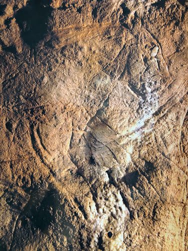 Grotte des Combarelles - plus de 800 gravures magdaléniennes dans une galerie étroite — Visite de grottes & gouffres — Les Eyzies