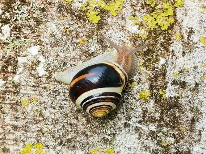 À la Ferme du Ruisseau — Cueillette & Agritourisme — Le Haillan