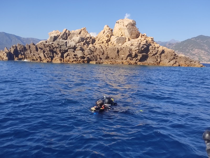 Plongée Porto Corse - exploration entre Piana, Scandola et Capo Rosso — PORTO