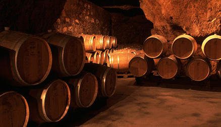 Bouvet Ladubay — Découverte des terroirs et vignobles & dégustations — Saumur