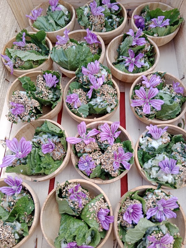 Sauvage Par Nature - plantes sauvages et cuisine à Chartrettes — Chartrettes