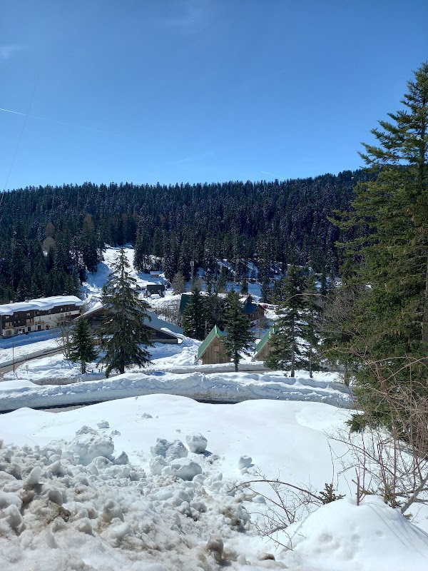 Turini - Camp d'Argent