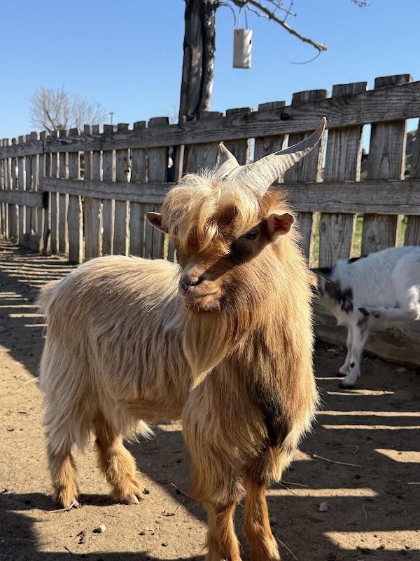 La ferme de Zoé