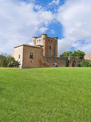 Château d'Arques — Patrimoine — Arques