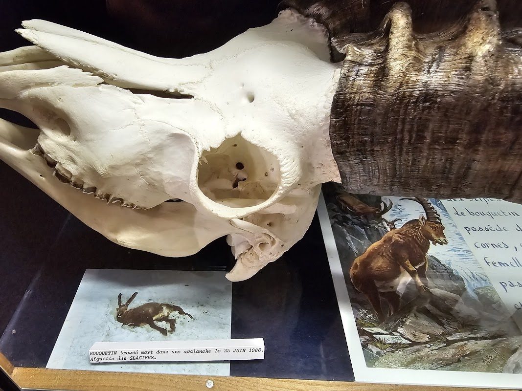 Musée des minéraux et de la faune