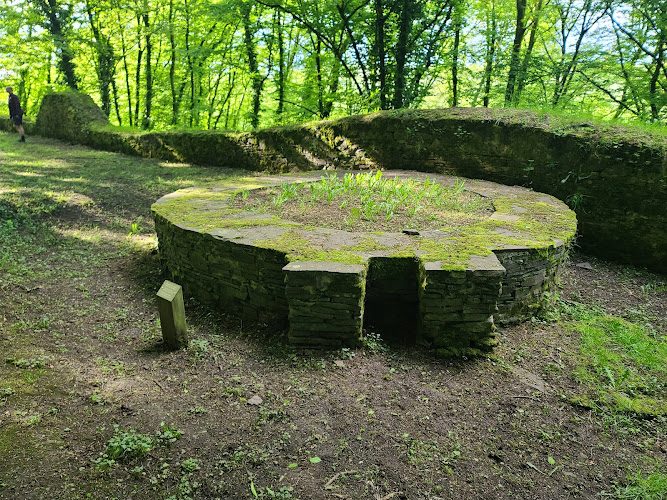 Camp romain du Mont Vireux - vestiges du IIIe siècle et panorama sur la Meuse - Patrimoine - Vireux-Molhain