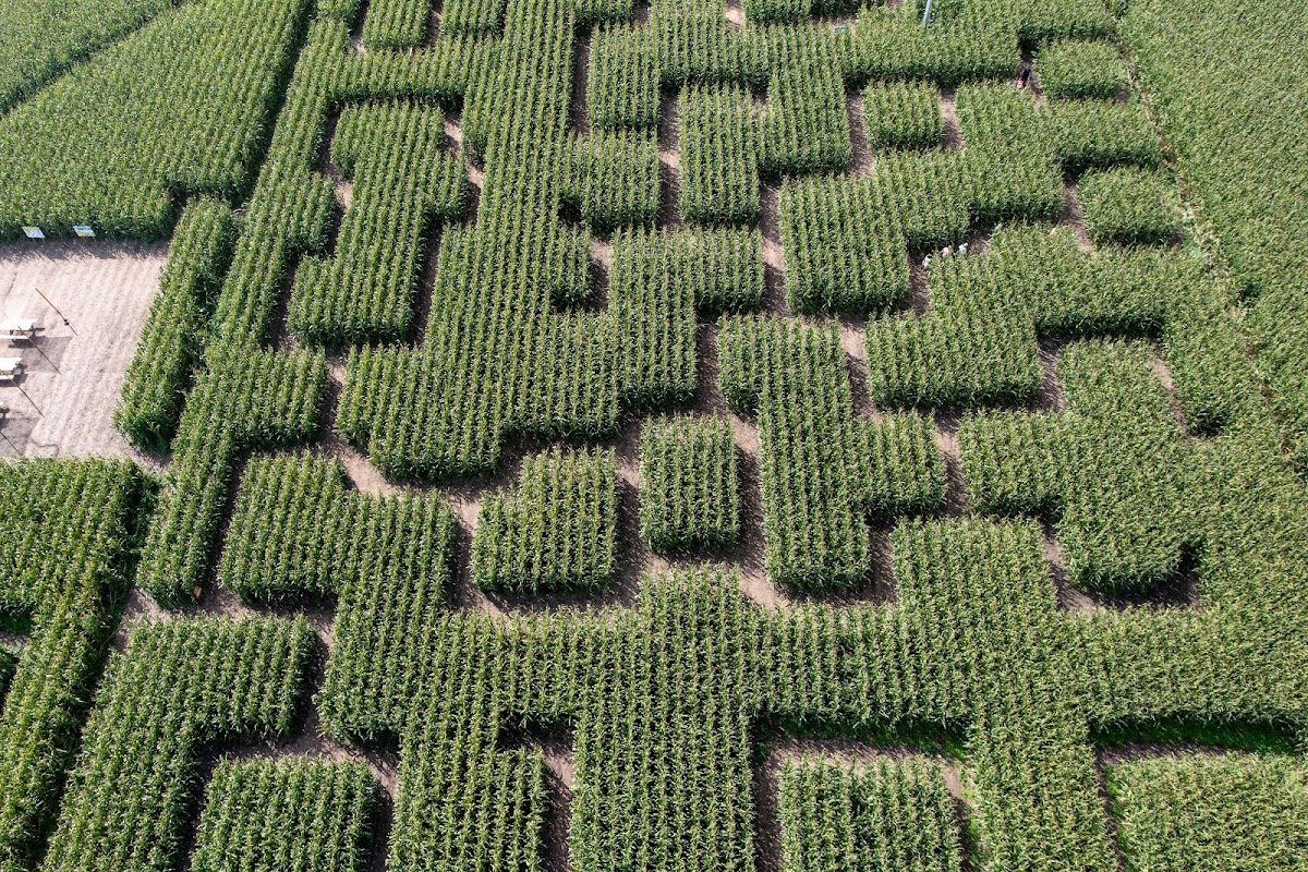 Pop Corn Labyrinthe ST-MALO - Labyrinthe Géant de Maïs — Labyrinthes végétaux — Saint-Malo