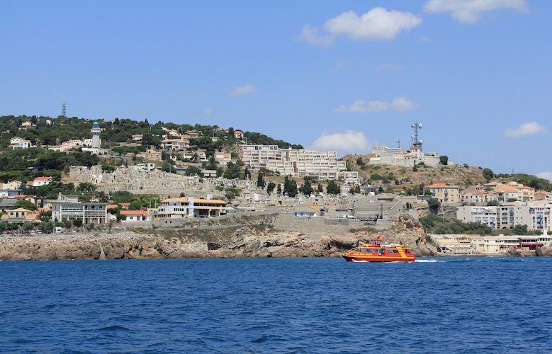 Sete Croisieres — Observation de dauphins et baleines en mer — Sète