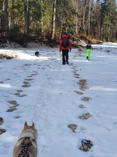 Cani Aventure — Cani-Rando — Bois-d'Amont