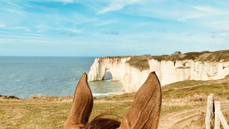 Domaine Équestre Étretat — Balade à cheval — Le Tilleul