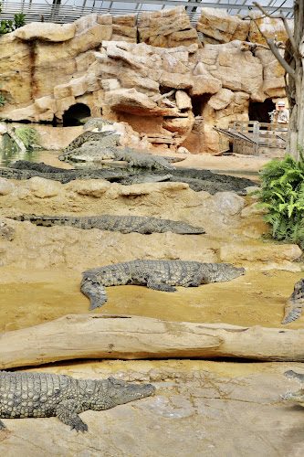 La Ferme aux Crocodiles-Réserve Tropicale - Visite d'un Zoo / Parc zoologique - Pierrelatte