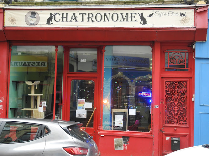 Chatronome: café à chats- Boulogne-sur-mer