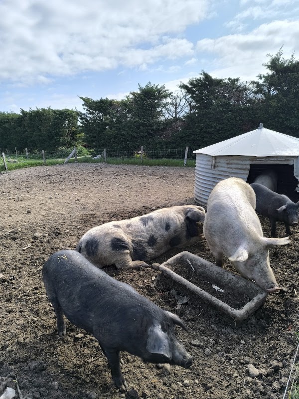 La ferme de Zoé — Ferme éducative — Valence