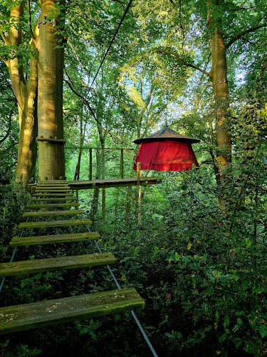 Woody Park