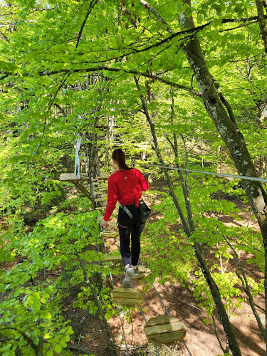 ACRO' AVENTURES QUINTAL