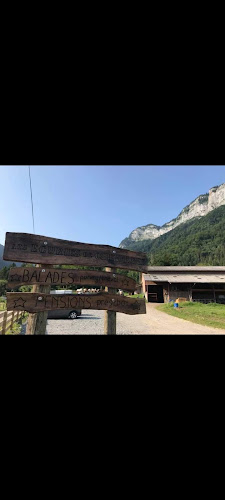 Les Écuries de Chevaline — Balade à cheval — Chevaline