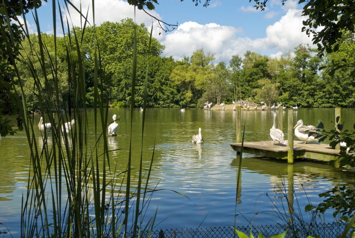 Parc des Oiseaux