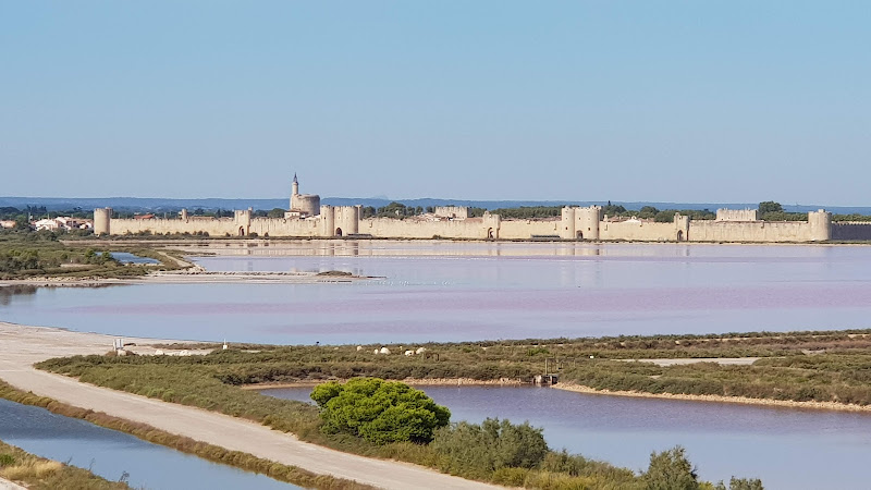Salin d’Aigues-Mortes — Visite de fabrique gourmande & spécialités du terroir — Aigues-Mortes