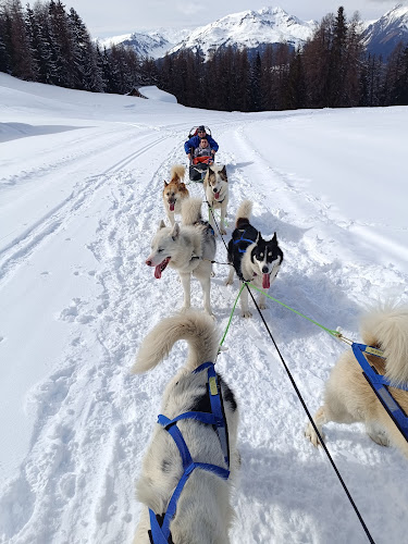 Evolution 2 Ecole de ski, VTT et aventures Montchavin-Les Coches La Plagne — Randonnée VTT — La Plagne Tarentaise