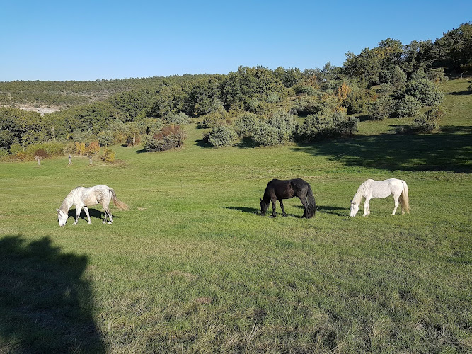 Ferme Equestre Le Relais de Vazeille — Balade à cheval — Saint-Maurice-d'Ibie