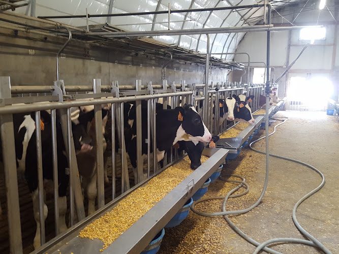 Agrikids — Ferme éducative — Soulaire-et-Bourg