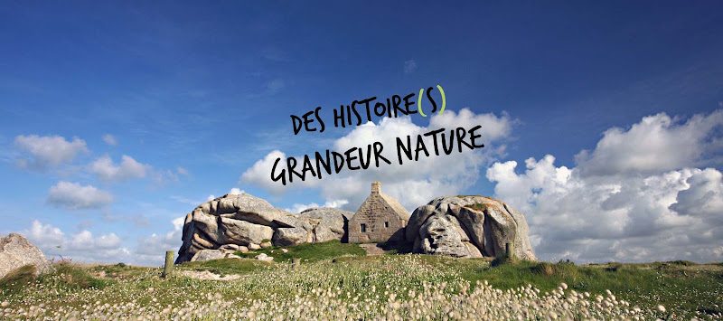 Meneham – visite du village de goémoniers entre les rochers de Kerlouan — Patrimoine — Kerlouan