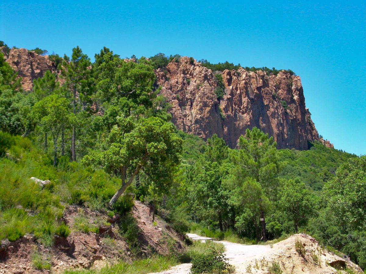 Gorges du Blavet - randonnée des roches rouges et grotte du Muéron - Randonnée pédestre - Bagnols-en-Forêt