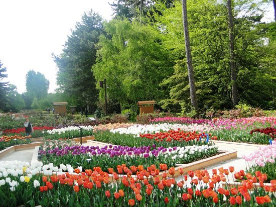 Location de rosalie au Parc Floral de Paris — Location de rosalies (vélo à 4 roues) — Paris
