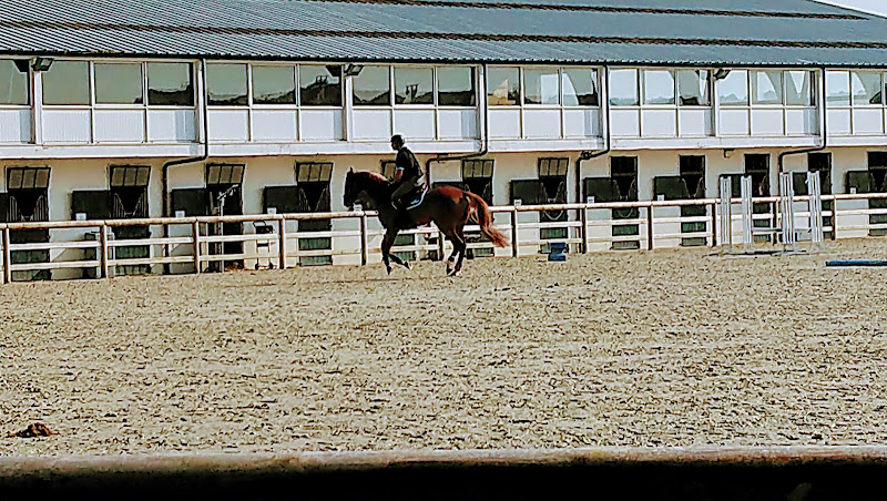 Centre Équestre du Touquet Paris-Plage — Balade à cheval — Le Touquet-Paris-Plage