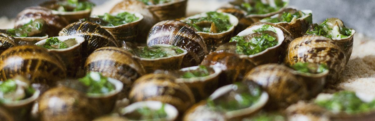 La Cagouille Charentaise — visite de l’élevage d’escargots