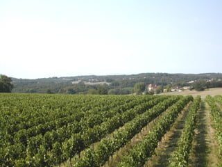 Château Corbiac - Dégustation de Pécharmant