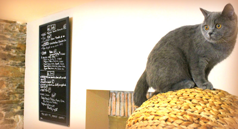Le Chat l'Heureux