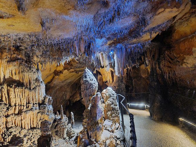 Grottes de Lacave - petit train électrique et 1,6 km de galeries — Visite de grottes & gouffres — Lacave