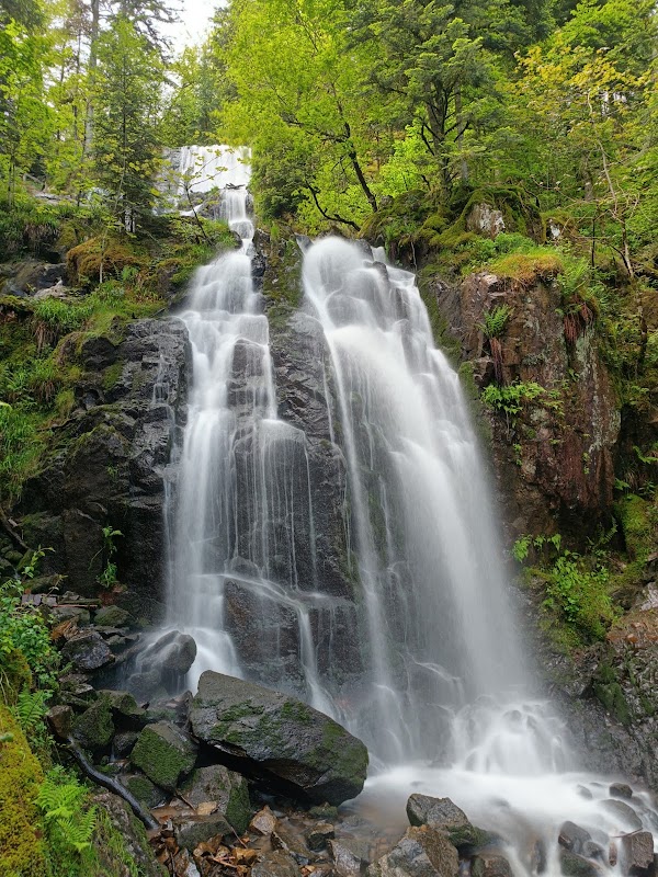 Cascade de Tendon