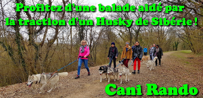 Latitude Nordique — Cani-Rando — Braslou