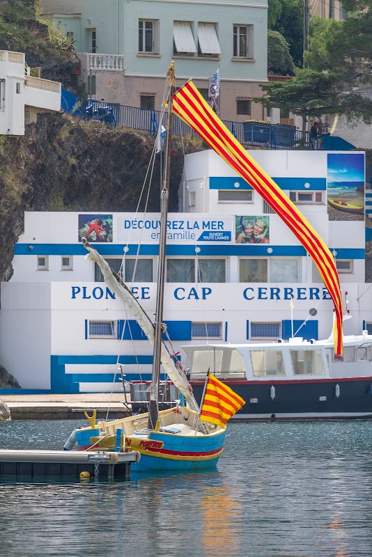 Plongée Cap Cerbère - Réserve marine, Cap Creus et Nitrox — Plongée sous-marine & exploration — Cerbère