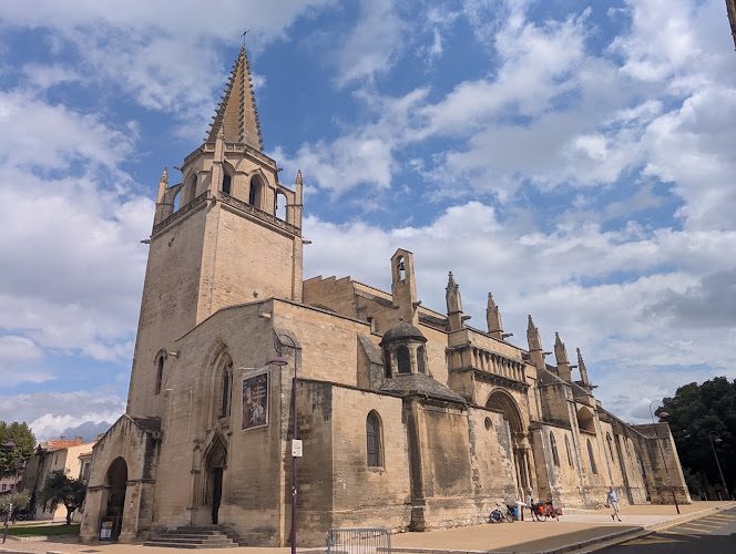 Collégiale royale Sainte-Marthe - Patrimoine - Tarascon