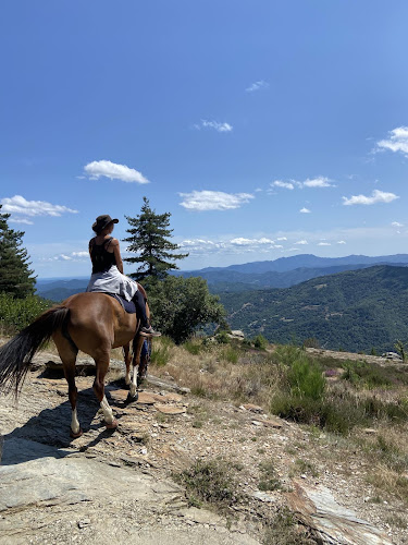 Cévennes à cheval — Balade à cheval — Saint-Germain-de-Calberte