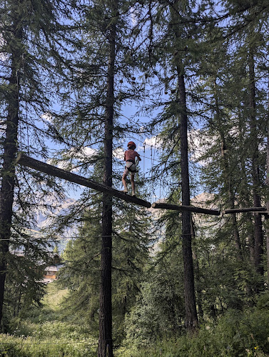 Forêt Sensations