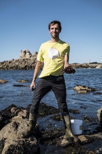 Cueilleur d’Estran - algues et plantes sauvages du Finistère — Cueillette sauvage & balades botaniques — Plounévez-Lochrist