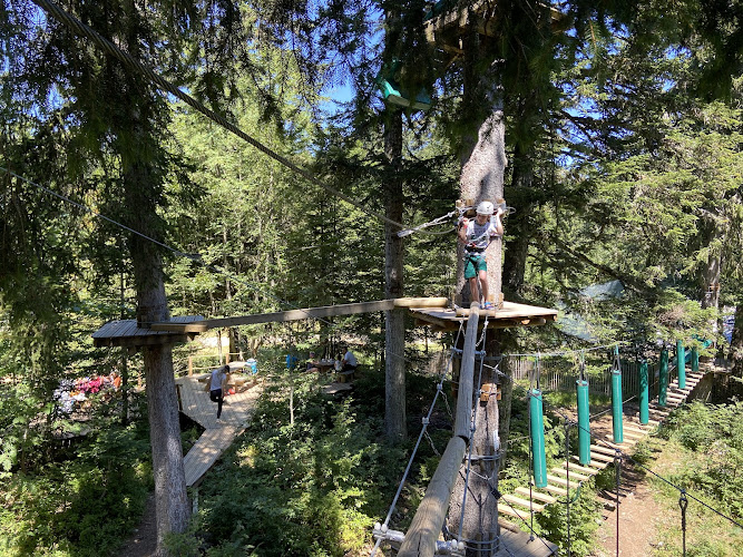 D'un Arbre à l'Autre - Parcours aventure