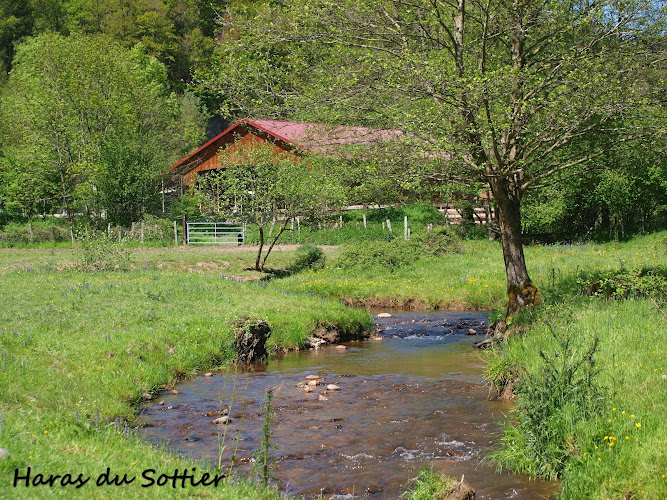 Haras du Sottier — Balade à cheval — Poule-les-Écharmeaux