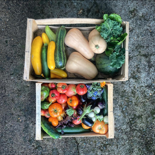 Petite Terre — cueillette et cuisine végétale au champ à Vallet — Cueillette & Agritourisme — Vallet