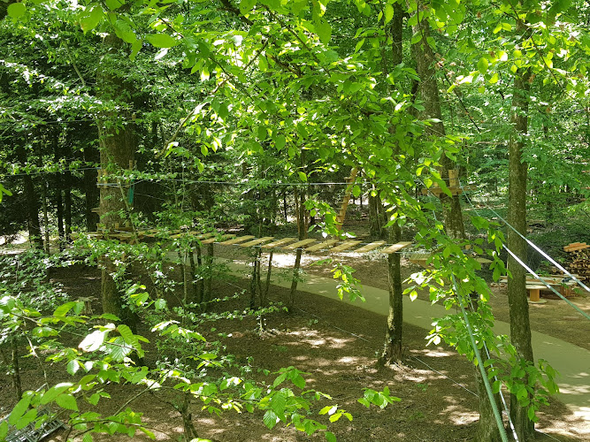 Accro-Rioz : Accrobranche Haute-Saône Doubs