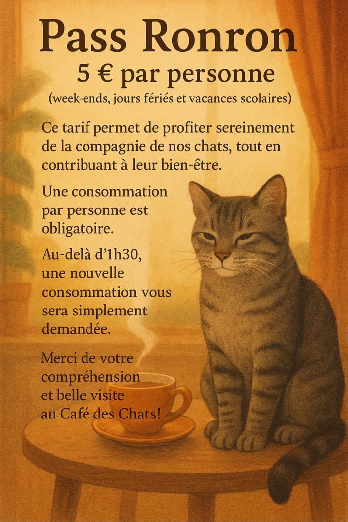 Le Café des Chats — Cafés à Animaux (chats, chiens...) — Paris