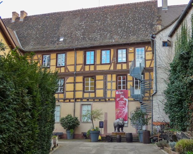 Musée d'Histoire Naturelle et d'Ethnographie — Musées d'histoire naturelle — Colmar